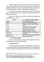 Referāts 'Reklāmas kampaņa priekšapmaksas mobilo sakaru kartei "Amigo"', 14.