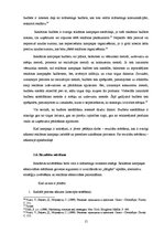 Referāts 'Reklāmas kampaņa priekšapmaksas mobilo sakaru kartei "Amigo"', 15.