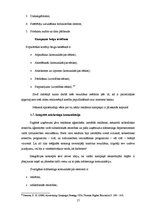 Referāts 'Reklāmas kampaņa priekšapmaksas mobilo sakaru kartei "Amigo"', 17.