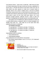 Referāts 'Reklāmas kampaņa priekšapmaksas mobilo sakaru kartei "Amigo"', 27.