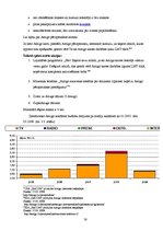 Referāts 'Reklāmas kampaņa priekšapmaksas mobilo sakaru kartei "Amigo"', 30.