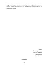 Referāts 'Reklāmas kampaņa priekšapmaksas mobilo sakaru kartei "Amigo"', 46.