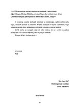 Referāts 'Reklāmas kampaņa priekšapmaksas mobilo sakaru kartei "Amigo"', 47.