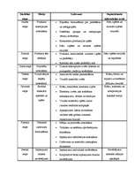 Referāts 'Tortu iepakojums', 5.