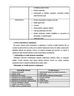 Referāts 'Tortu iepakojums', 8.