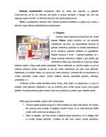 Referāts 'Tortu iepakojums', 13.