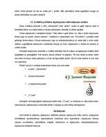 Referāts 'Tortu iepakojums', 16.