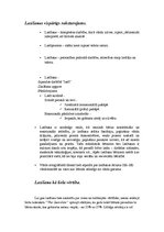 Referāts 'Lasīšana', 3.