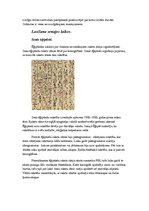 Referāts 'Lasīšana', 6.