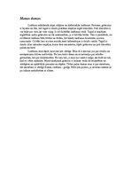 Referāts 'Lasīšana', 10.