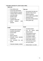 Referāts 'SIA "Sakret"', 26.