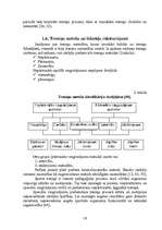 Diplomdarbs 'Vidējo distanču skriešana', 16.