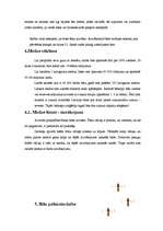 Referāts 'Medus bites', 10.