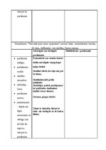 Prakses atskaite 'Audzināšanas prakses atskaite', 12.