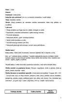 Prakses atskaite 'Prakse sākumskolā', 7.