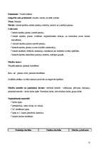 Prakses atskaite 'Prakse sākumskolā', 10.