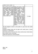 Prakses atskaite 'Prakse sākumskolā', 12.