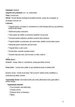 Prakses atskaite 'Prakse sākumskolā', 13.