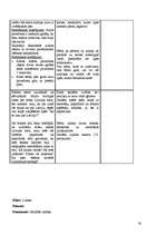 Prakses atskaite 'Prakse sākumskolā', 16.