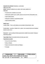 Prakses atskaite 'Prakse sākumskolā', 17.