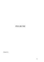 Prakses atskaite 'Prakse sākumskolā', 20.