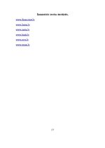 Referāts 'Rūpniecība Latvijā', 19.