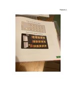 Konspekts 'Sociālās zinības', 8.