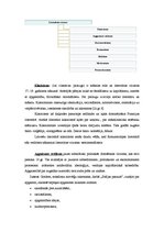 Referāts 'Literatūras mēnešraksta "Karogs" aktualitāte literatūras stundās vidusskolā', 9.