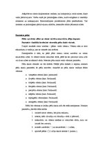 Referāts 'Literatūras mēnešraksta "Karogs" aktualitāte literatūras stundās vidusskolā', 20.