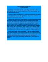 Referāts 'Le couleur et la forme', 10.