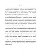 Referāts 'Policijas darbinieka saskarsmes ētikas ievērošana mijiedarbībā ar sabiedrību un ', 3.