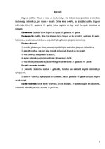 Referāts 'Ikdienas dzīve Jelgavā un tās rajonā 20.gadsimta 60.gados', 5.