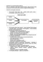 Paraugs 'Vairumtirdzniecības un mazumtirdzniecības uzņēmuma raksturojums', 1.