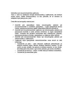 Paraugs 'Vairumtirdzniecības un mazumtirdzniecības uzņēmuma raksturojums', 2.