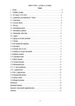 Referāts 'Miķelis Valters - politiķis un domātājs', 2.