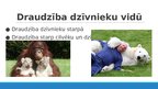 Prezentācija 'Draudzība, vientulība un naids psiholoģijā', 12.
