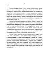 Referāts 'Stereotipi un pieņēmumi dzimumu līdztiesības kontekstā', 3.