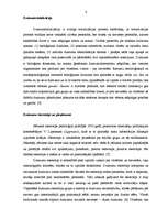 Referāts 'Stereotipi un pieņēmumi dzimumu līdztiesības kontekstā', 4.