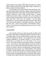 Referāts 'Stereotipi un pieņēmumi dzimumu līdztiesības kontekstā', 5.