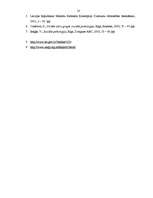 Referāts 'Stereotipi un pieņēmumi dzimumu līdztiesības kontekstā', 14.