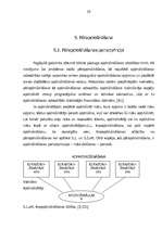 Diplomdarbs 'Risku apdrošināšanas sabiedrību darbības apskats Latvijā ', 28.