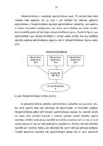 Diplomdarbs 'Risku apdrošināšanas sabiedrību darbības apskats Latvijā ', 29.
