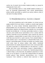 Diplomdarbs 'Risku apdrošināšanas sabiedrību darbības apskats Latvijā ', 30.