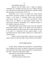 Diplomdarbs 'Risku apdrošināšanas sabiedrību darbības apskats Latvijā ', 36.