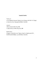 Eseja 'Dabisko tiesību doktrīnas nozīme Latvijas tiesību sistēmā', 4.