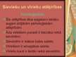 Prezentācija 'Vīriešu un sieviešu atšķirīgā uztvere savstarpējās attiecībās', 4.