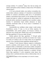 Diplomdarbs 'Tiesu izpildītāji un to darbība', 28.