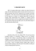 Referāts 'Fire Wire', 10.