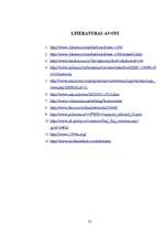 Referāts 'Fire Wire', 25.