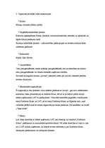 Konspekts 'Organizācijas pētījums. SIA "Platforma Music"', 3.